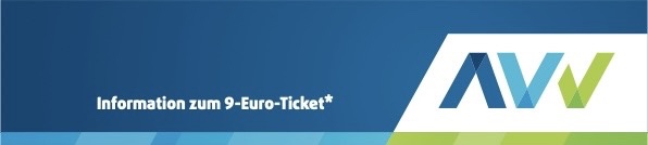 9 Euro-Ticket